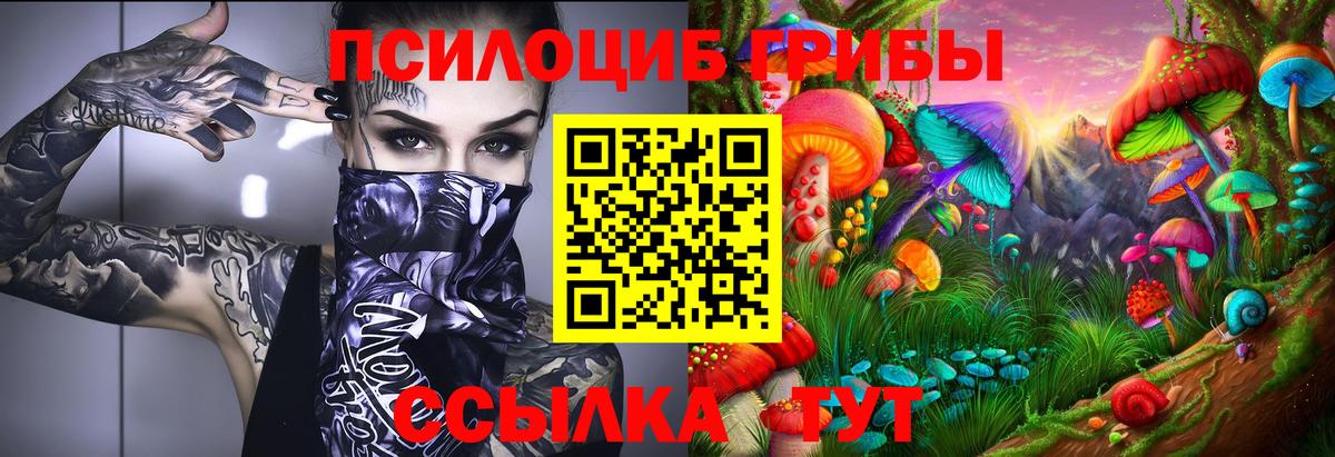 Галлюциногенные грибы Cubensis  Вход с VPN  Долгопрудный 